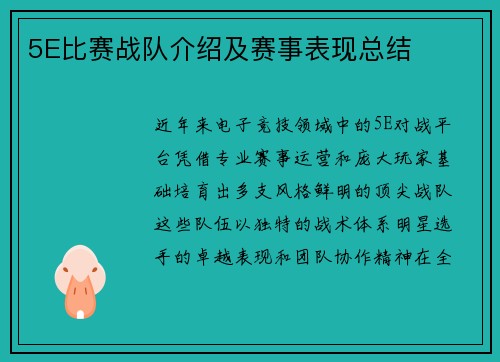 5E比赛战队介绍及赛事表现总结